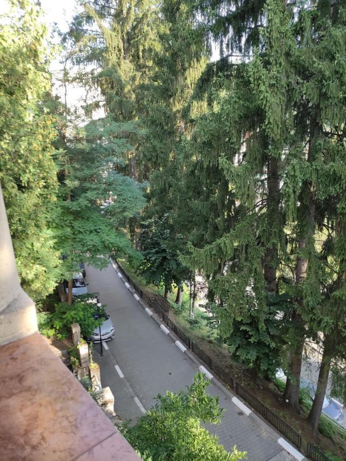Băile OlăneştiCasa Rosa别墅 外观 照片