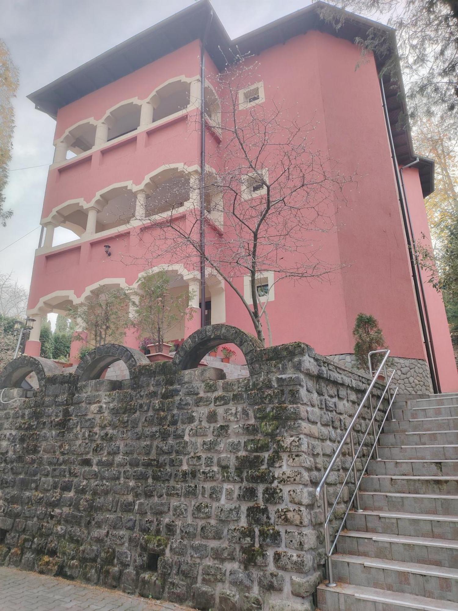 Băile OlăneştiCasa Rosa别墅 客房 照片